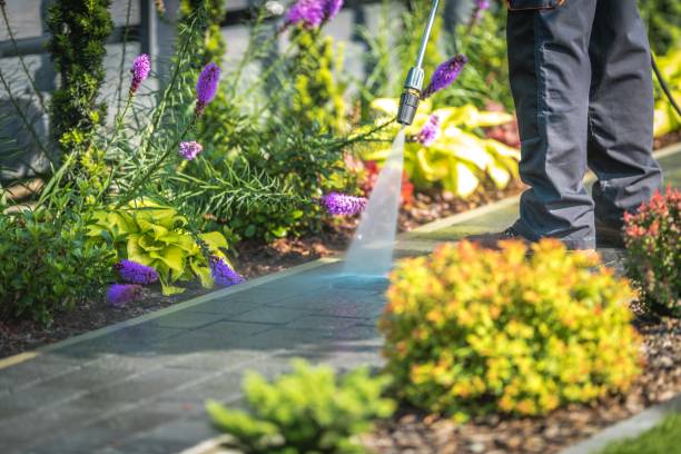 Best Animal Enclosure Cleaning  in Jensen Beach, FL